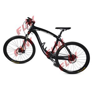 Carbon fiber Bicycle