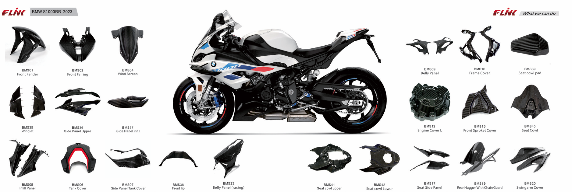 S1000RRR carbon fairings